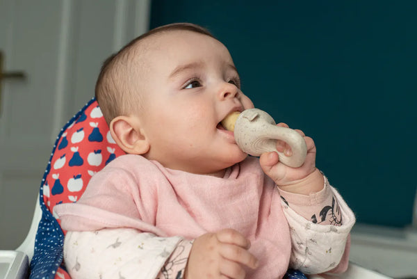 Grignoteuse évolutive - Vanille Coton